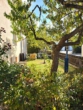 Garten - Pfaffenhofen! Zweifamilienhaus mit Wintergarten, PV-Anlage, großer Garage und Garten! Zentrale Lage!